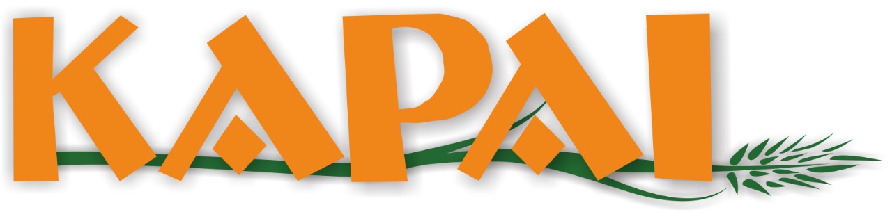 Page Header Logo